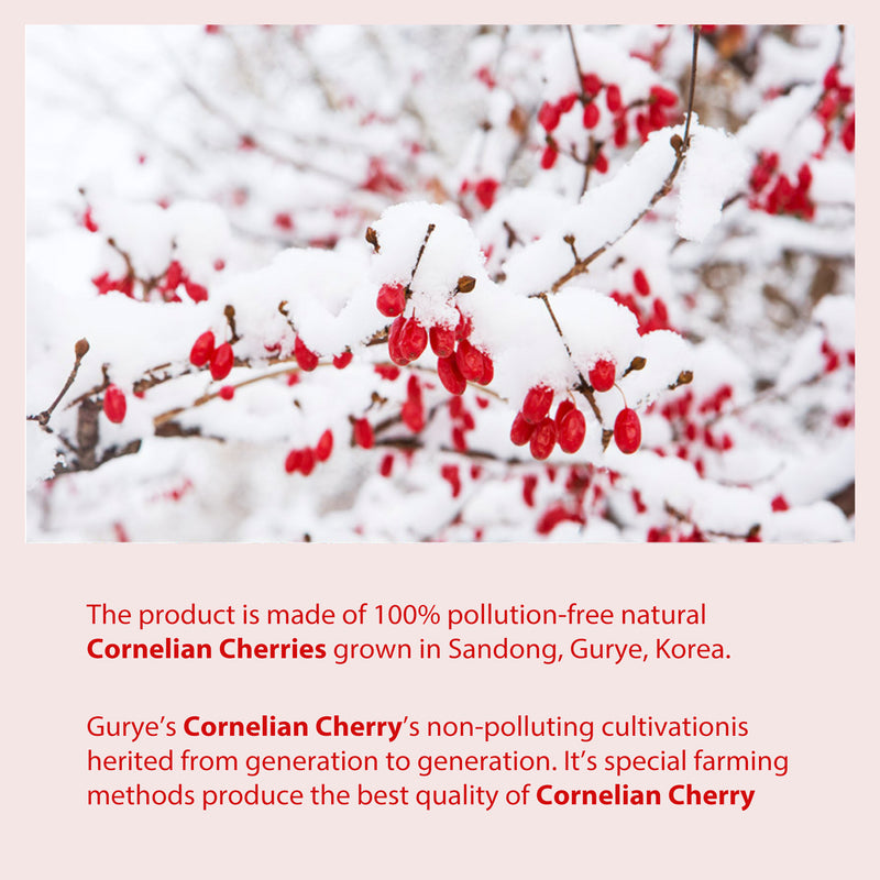 Tomnada Solar Berry Korean Cornus Fruit Syrup, Cornelian Cherry Extract Syrup, Shan Zhu Yu Extract Supplement, No Preservatives, No Additives, No Artificial Colors, 12 fl.oz (375 ml)