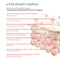 enu:b Nano Liposome Anti-Aging All-in-One Face Cream with Hyaluronic Acid, Niacinamide, Adenosine, Collagen - Targets Fine Lines & Wrinkles, Dermatologist-Tested