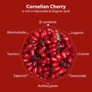 Tomnada Korean Wine Home Making Kit, 100% Natural Cornelian Cherries / Lespedeza Cuneata Winemaking & Brewing Kit, DIY Fruit Herb Wine Making Starter Kit Ingredient in Glass Bottle